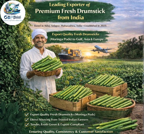 Premium Fresh Drumstick Exporter from India - OSP Global 
